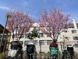 「桜のピンクと青空が綺麗だな～」